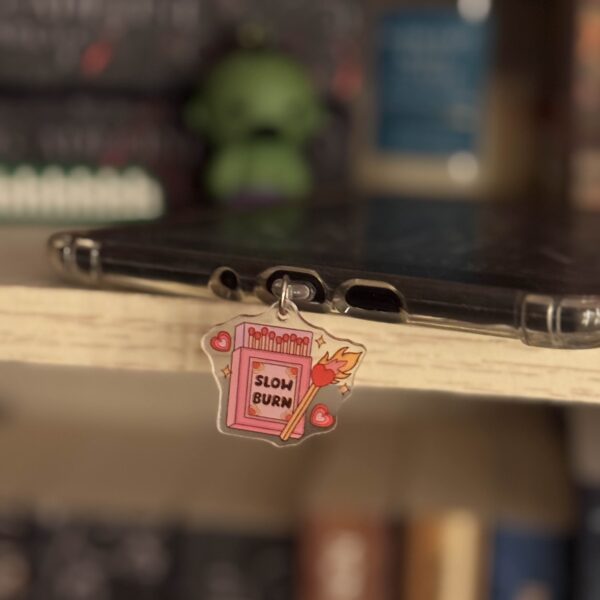 slow burn acrylic e-reader dust plug